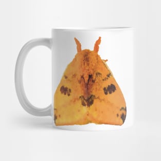 Io Moth Mug